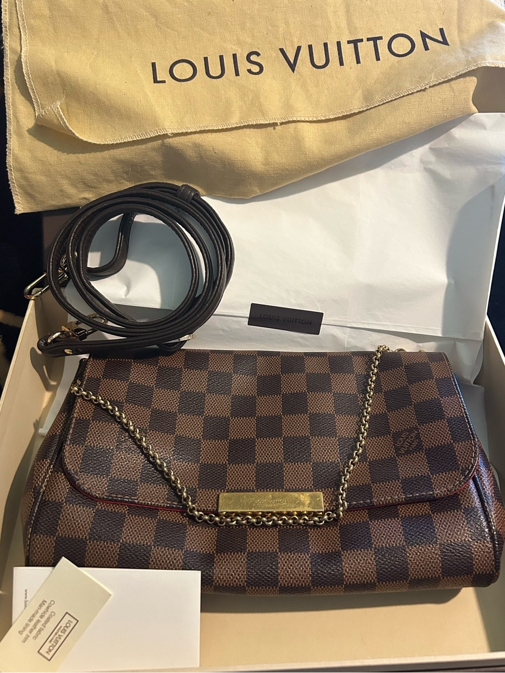 Louis Vuitton Favorite MM in Damier Ebene